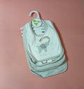 Baby Bibs 5 Piece